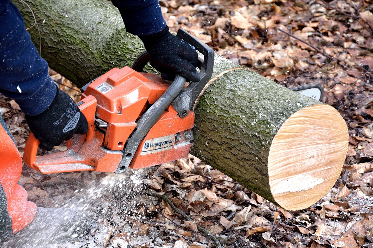 cutting wood, lumberjack, chainsaw, woodwork, tree trunks, lumber, lumberjack, chainsaw, chainsaw, chainsaw, chainsaw, chainsaw